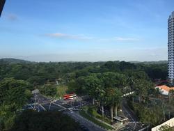 Blk 453 Sin Ming Avenue (Bishan), HDB 5 Rooms #152631552